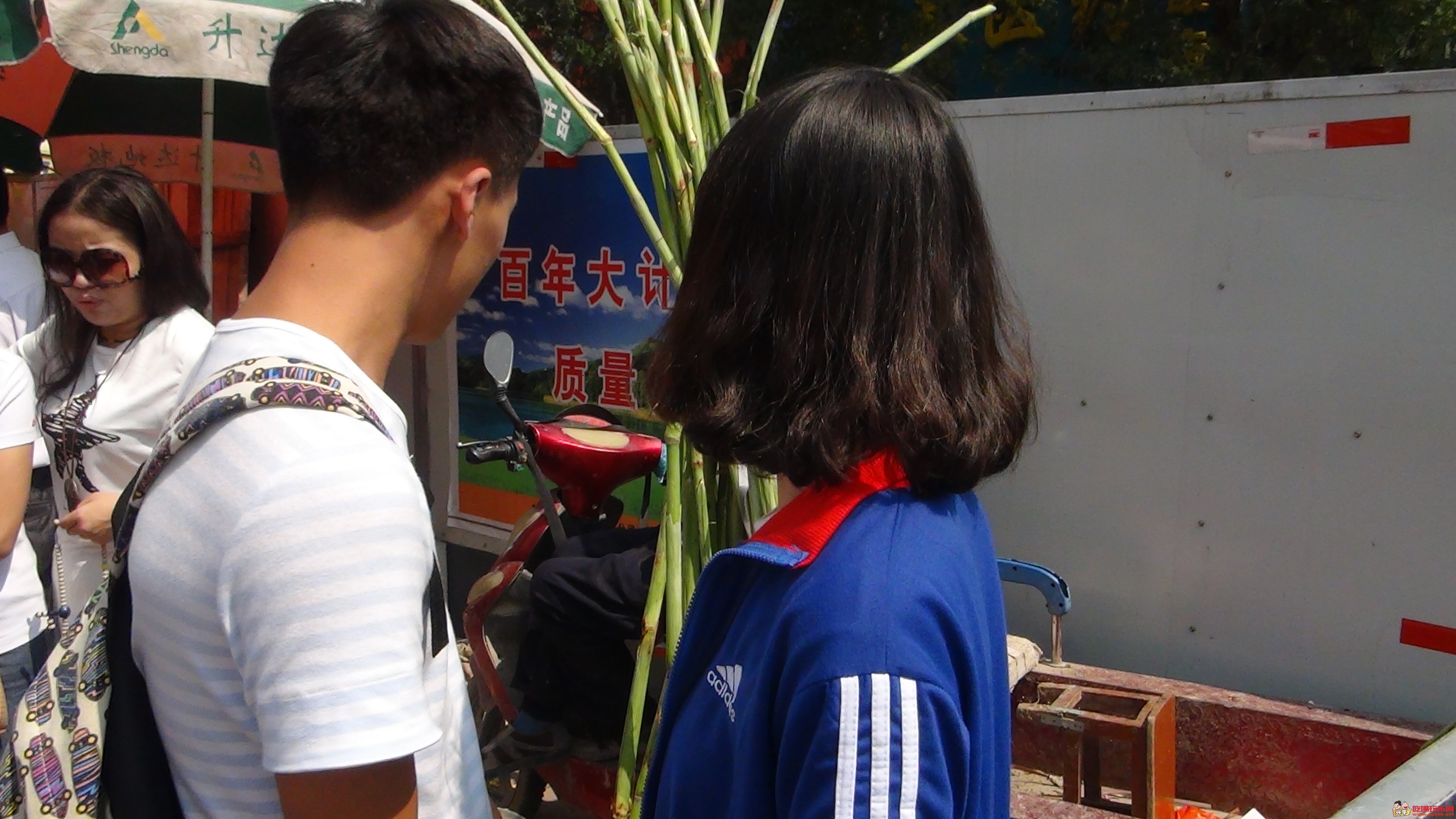 DSC00217.JPG