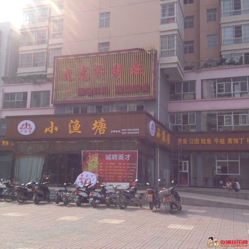 101855llion59n03fc8ql1.jpg