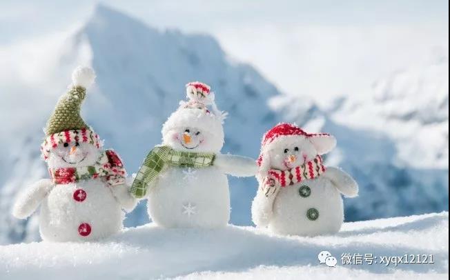 微信图片_20180102093525.jpg