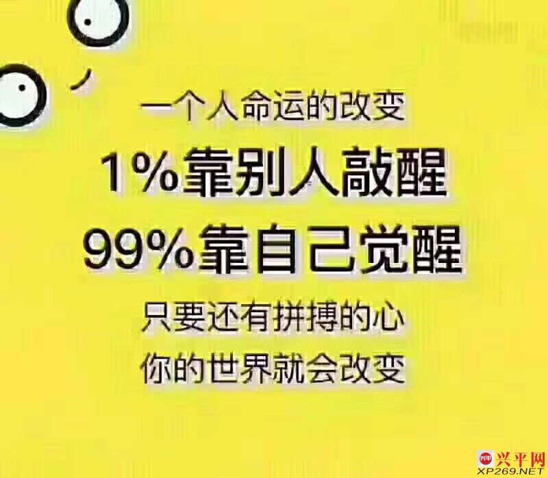182040qrc8ydrkr8wb54rk.jpg