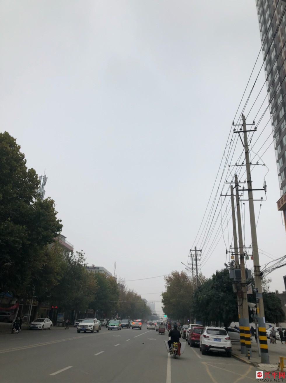 135226vlh1shsslb3hm1sx.jpg