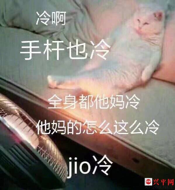 215543sa1j3dma8cjudzdu.jpg