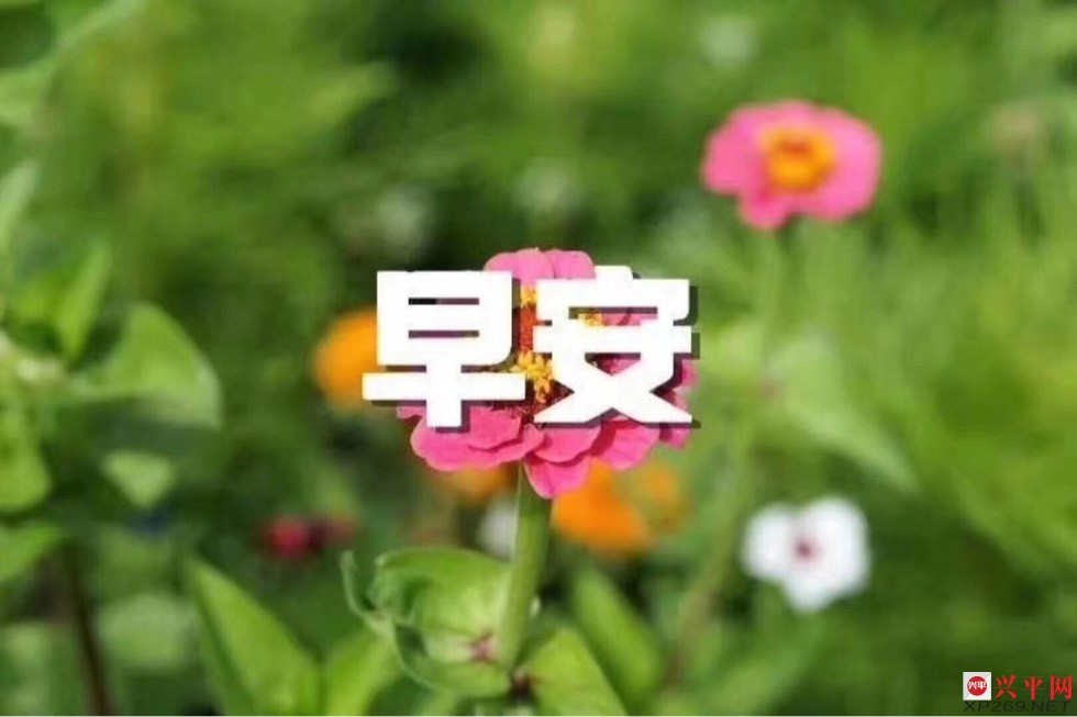 061050fs7cqu9uvux9qnxe.jpg