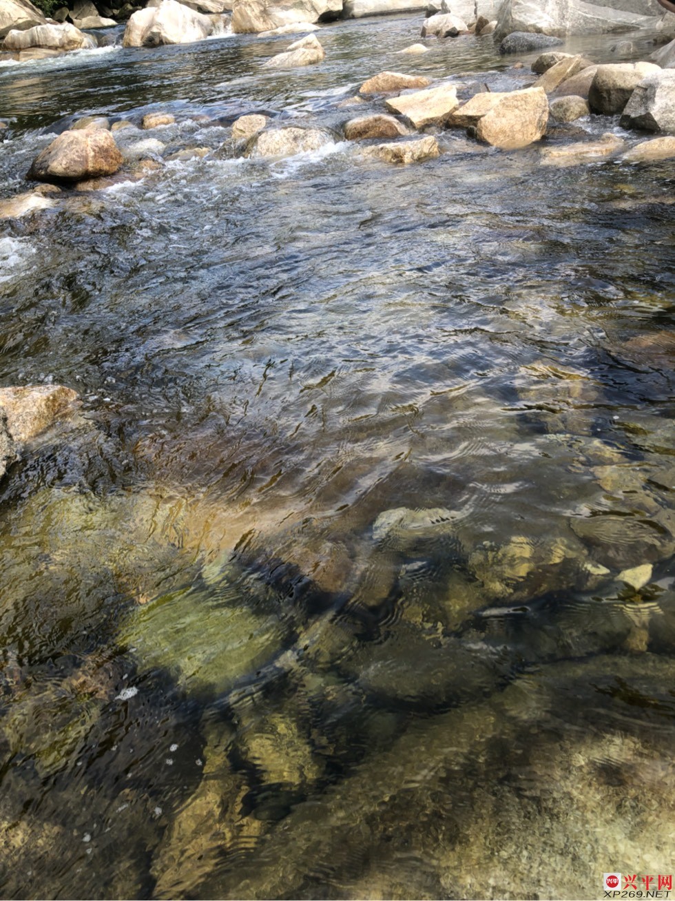 103033wnemvqrvvpktshp0.jpg