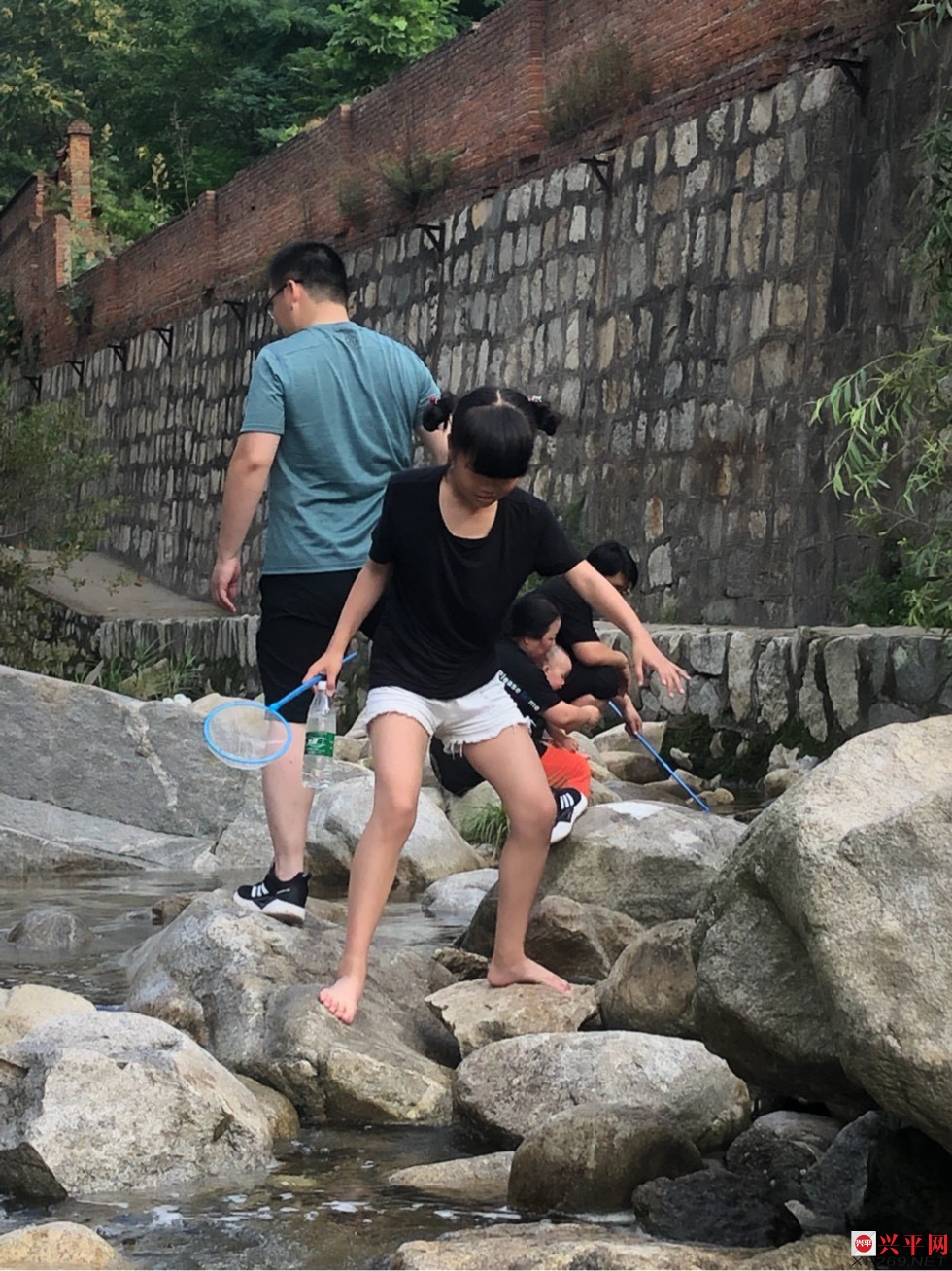103041cj8i5q8rhjd65898.jpg