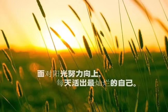 073749i6whqf6zf0fq40db.jpg