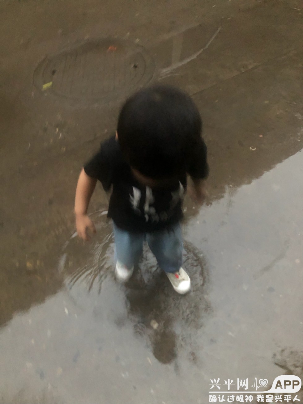 195537y4l77d2kd2r8guik.jpg