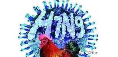 陕西新增1例人感染H7N9病例，5月以来已7例